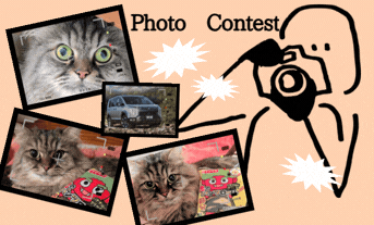 【久々】きょうのLeoくん🐈＆三菱フォトコン📷